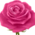 Oud Rose